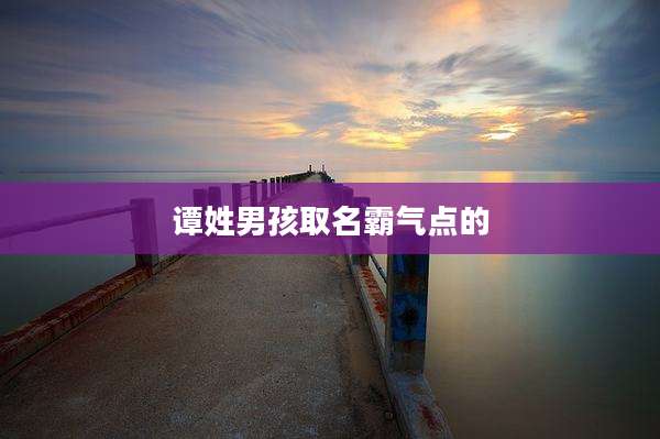 谭姓男孩取名霸气点的