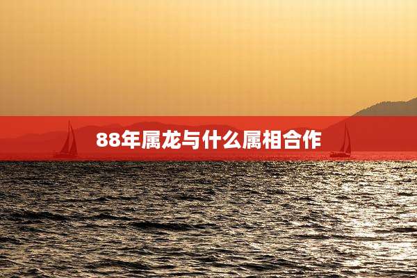 88年属龙与什么属相合作