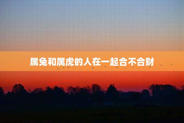 属兔和属虎的人在一起合不合财