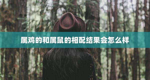 属鸡的和属鼠的相配结果会怎么样