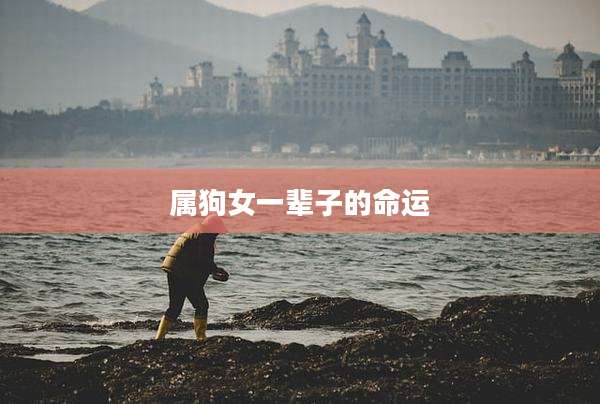 属狗女一辈子的命运