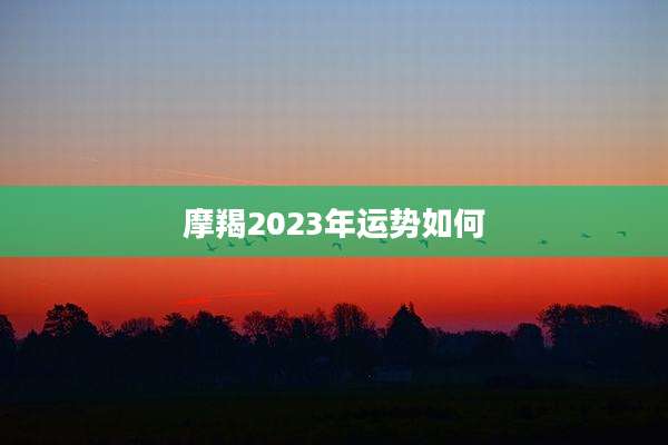 摩羯2023年运势如何