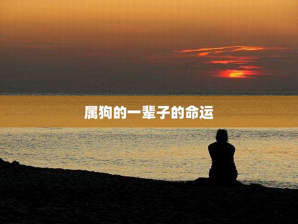 属狗的一辈子的命运