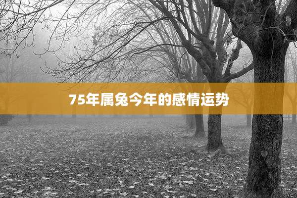 75年属兔今年的感情运势