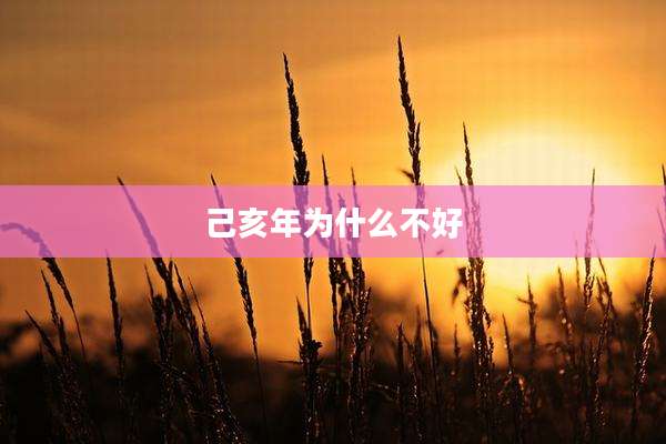 己亥年为什么不好