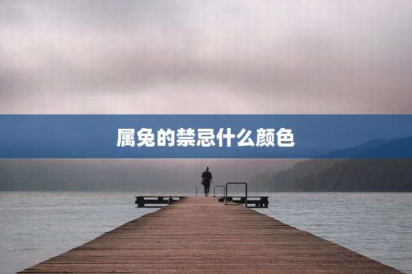 属兔的禁忌什么颜色