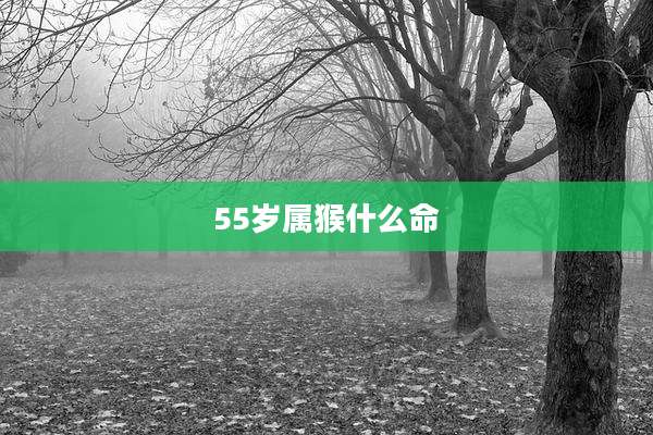 55岁属猴什么命