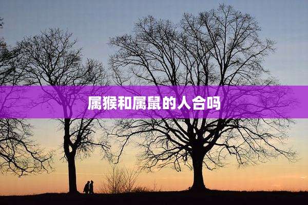 属猴和属鼠的人合吗