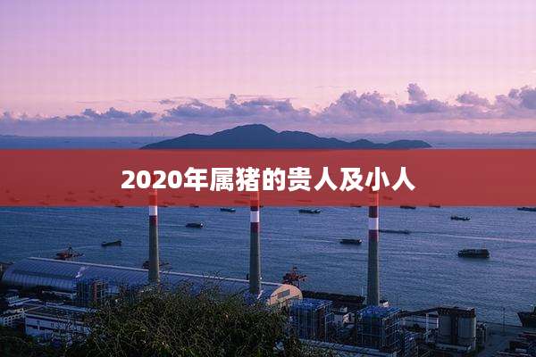 2020年属猪的贵人及小人