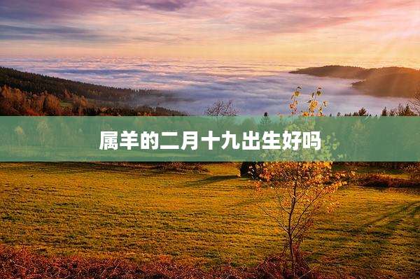 属羊的二月十九出生好吗