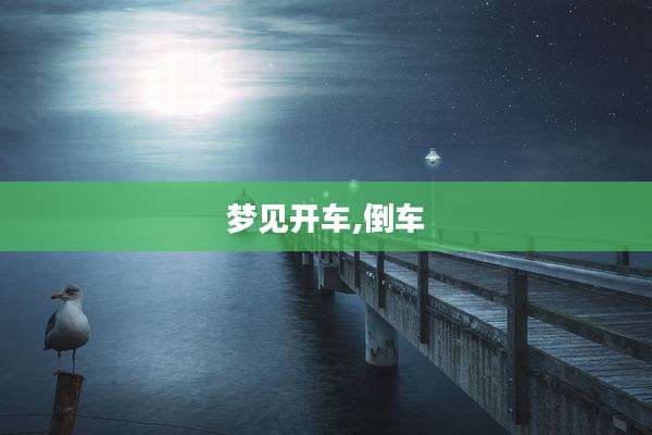 梦见开车,倒车