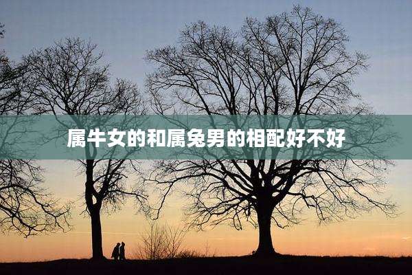 属牛女的和属兔男的相配好不好