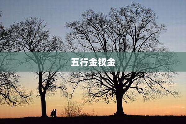五行金钗金