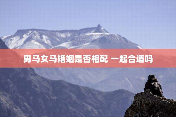 男马女马婚姻是否相配 一起合适吗