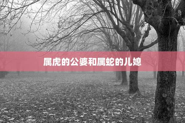 属虎的公婆和属蛇的儿媳