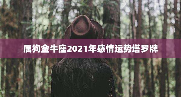 属狗金牛座2021年感情运势塔罗牌