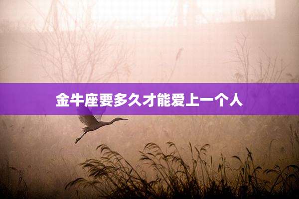 金牛座要多久才能爱上一个人