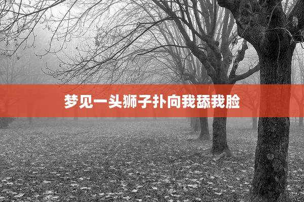 梦见一头狮子扑向我舔我脸