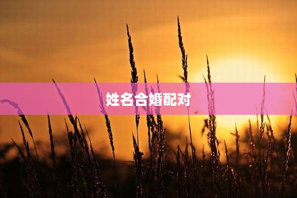 姓名合婚配对