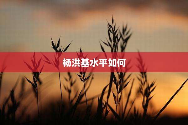 杨洪基水平如何