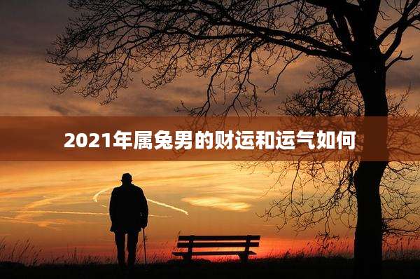 2021年属兔男的财运和运气如何