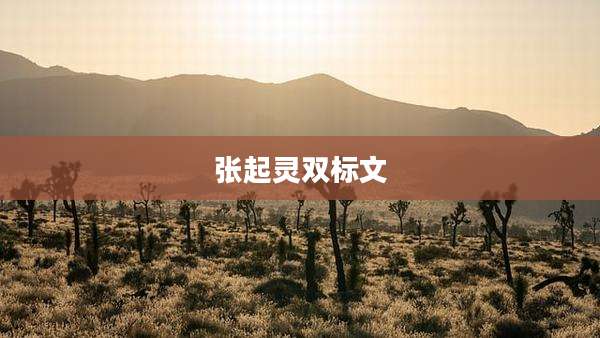 张起灵双标文