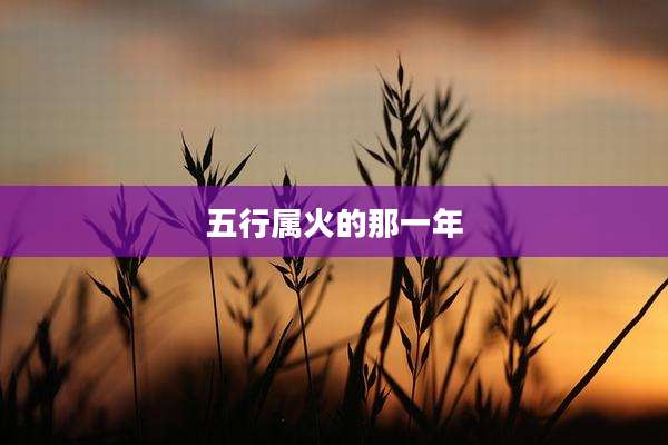 五行属火的那一年