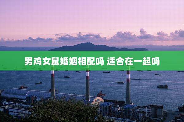 男鸡女鼠婚姻相配吗 适合在一起吗