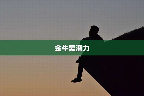 金牛男潜力