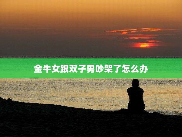 金牛女跟双子男吵架了怎么办