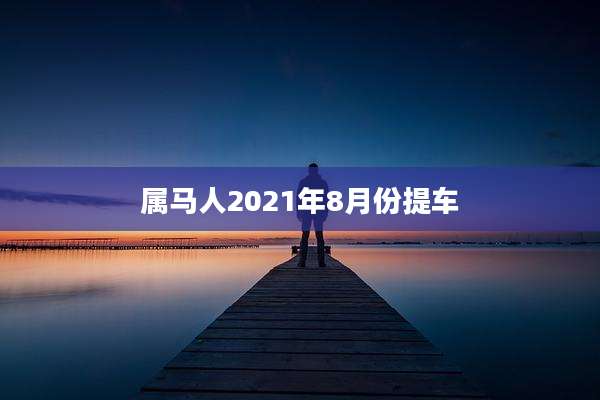属马人2021年8月份提车