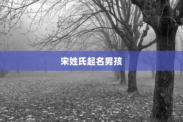 宋姓氏起名男孩