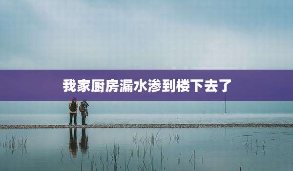我家厨房漏水渗到楼下去了