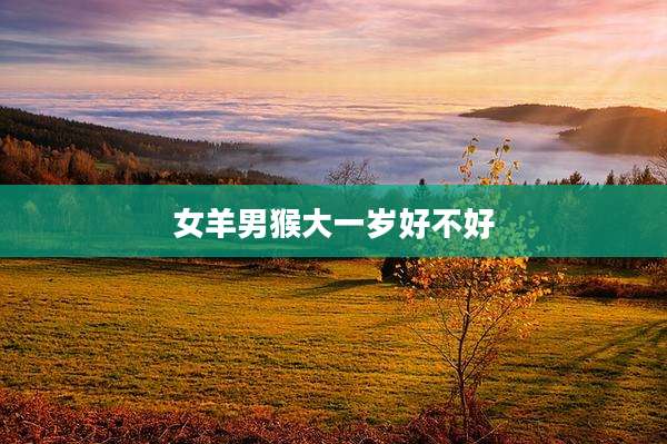 女羊男猴大一岁好不好