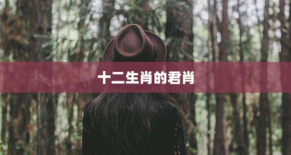 十二生肖的君肖