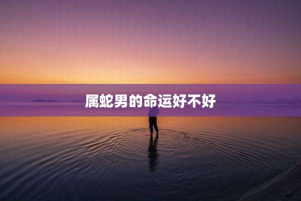 属蛇男的命运好不好