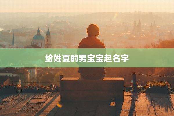 给姓夏的男宝宝起名字