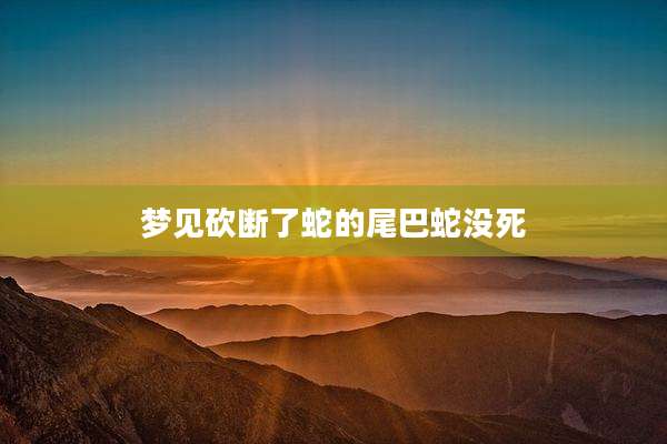 梦见砍断了蛇的尾巴蛇没死