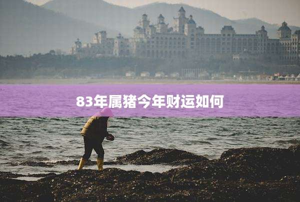 83年属猪今年财运如何