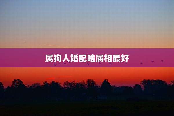 属狗人婚配啥属相最好