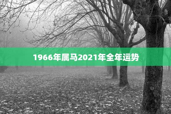 1966年属马2021年全年运势