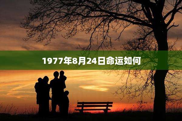 1977年8月24日命运如何