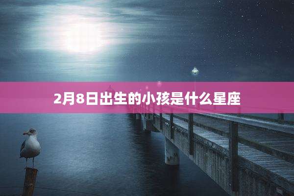 2月8日出生的小孩是什么星座