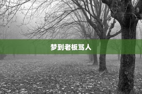 梦到老板骂人