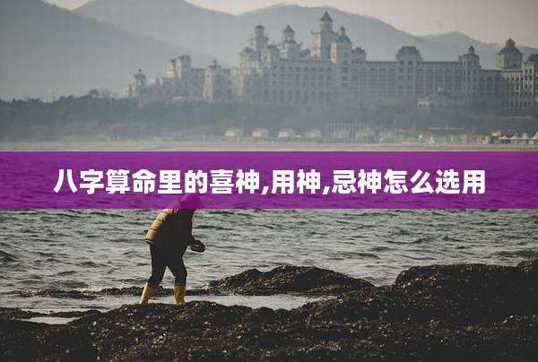 八字算命里的喜神,用神,忌神怎么选用