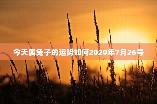今天属兔子的运势如何2020年7月26号