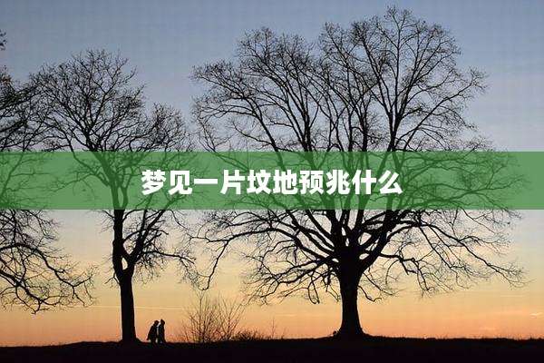 梦见一片坟地预兆什么