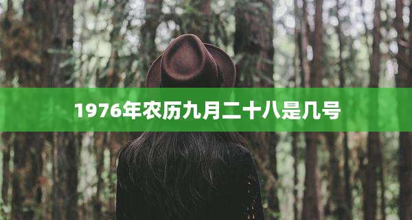 1976年农历九月二十八是几号