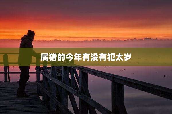属猪的今年有没有犯太岁