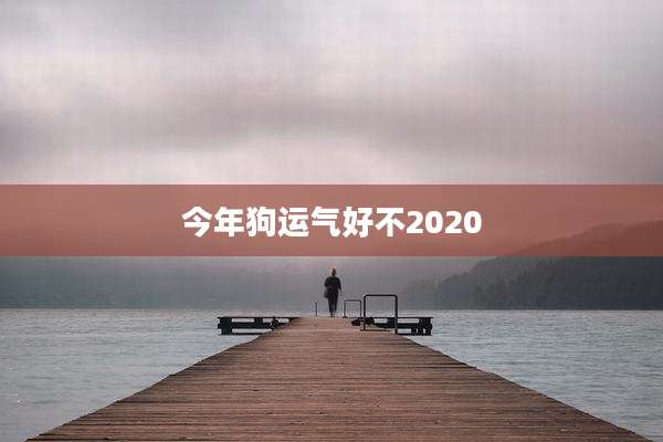 今年狗运气好不2020